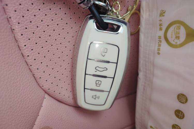 Used ORA Black Cat 2019 351 km Goddess Edition
