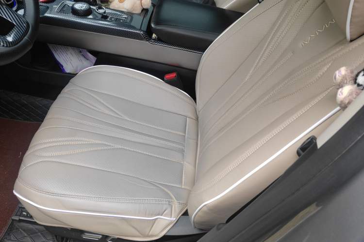 Used Haval DARGO 2024 2.0T DCT Chinese Rural Dog Edition Left Front Seat