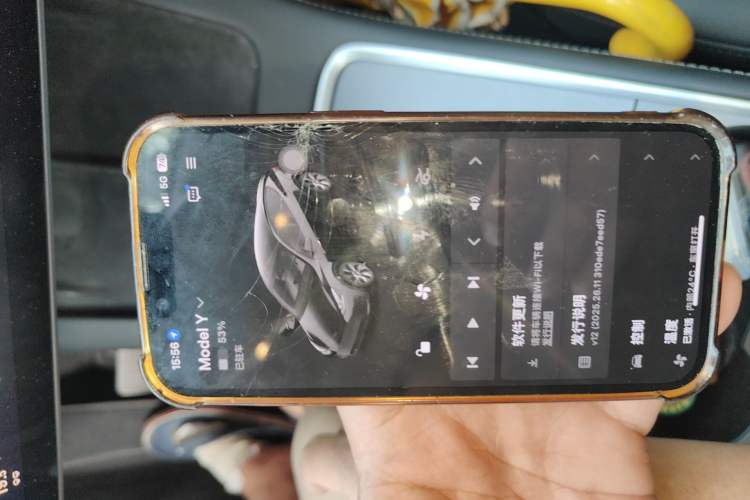 Used Tesla Model Y 2022 Revised Version Rear-Wheel Drive
