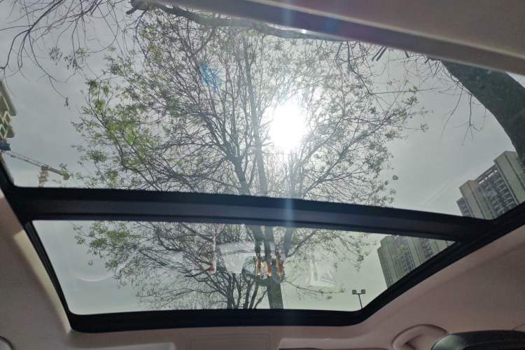 Used Volkswagen Passat New Energy 2022 430 PHEV Hybrid Luxury Edition Headliner