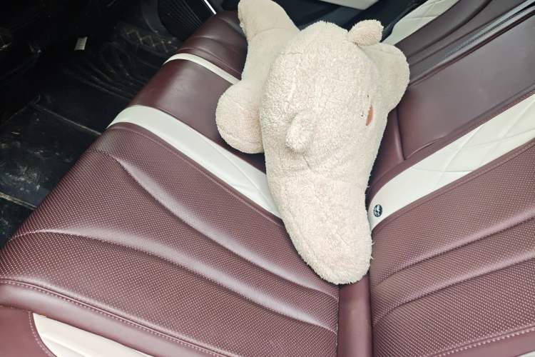 Used Geely Auto Monjaro L 2021 2.0TD DCT EVO Two-Wheel Drive Prestige Version