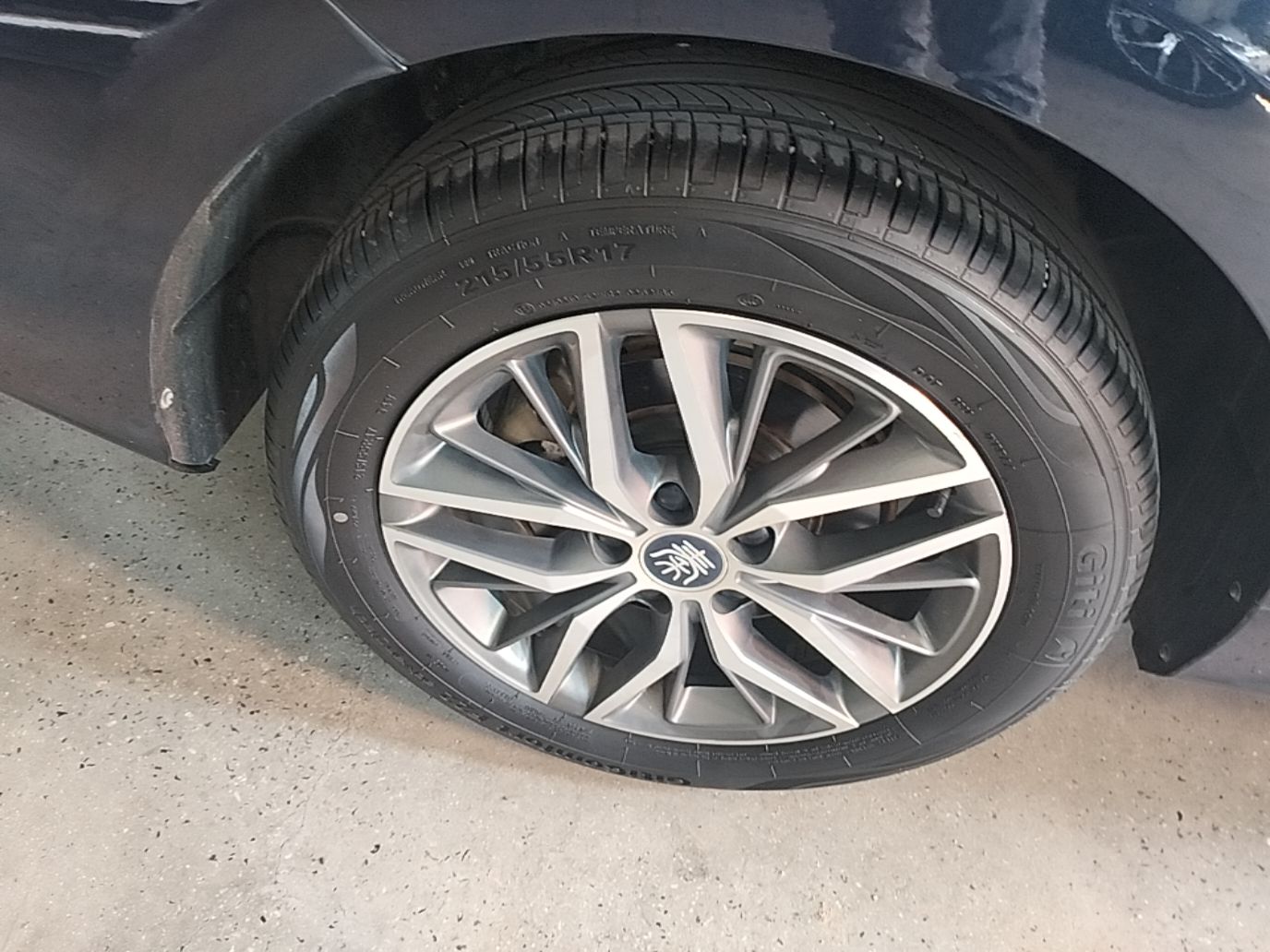 BYD Qin PLUS 2023 Champion Edition DM-i 55KM Superior Model — снимка 11