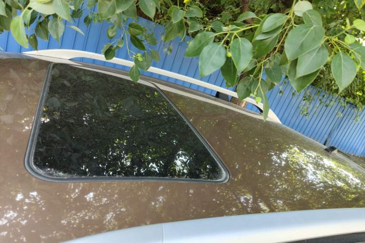 Used Luxgen Great 7 SUV 2013 Limited-Edition Sharp Edition 2.2T All-Wheel-Drive Prestige Model Roof