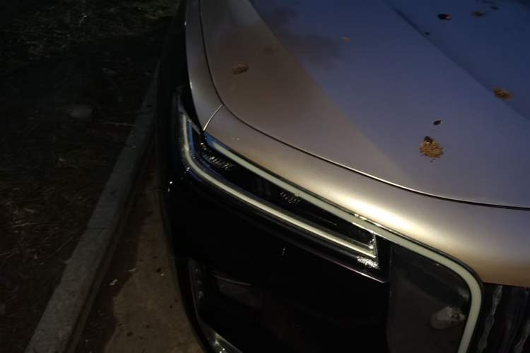 Used Hongqi H9 2020 2.0T Smart Connect Flagship Edition