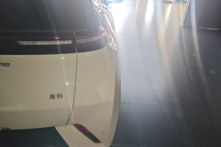 Used BYD Seagull 2023 Flying Edition Right Rear Taillight