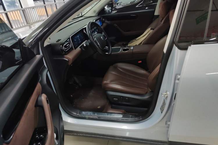 Used Leapmotor C11 2023 Pure Electric 500 Comfort Edition Left Front Seat