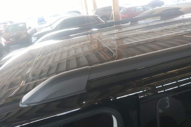 Used Tank 300 2024 2.0T Conqueror