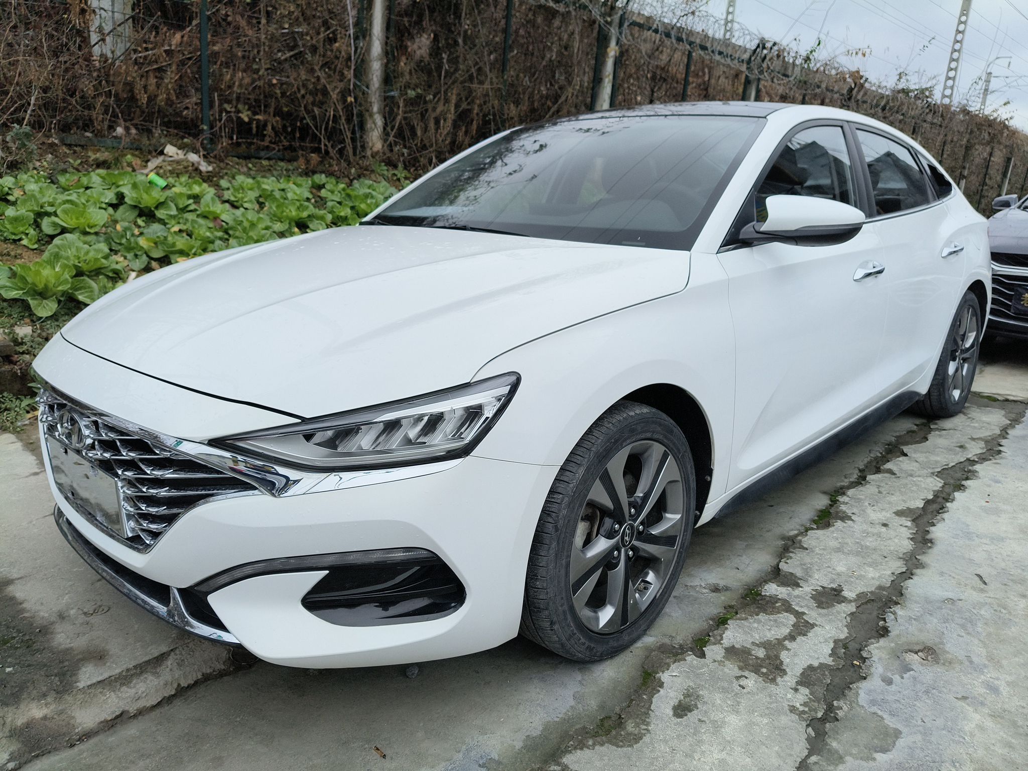 تحت مقدمة السيارة