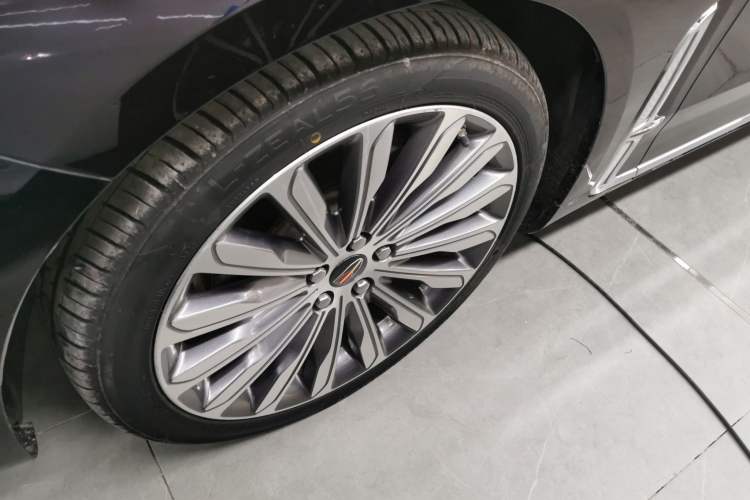 Used Hongqi H9 2020 3.0T Smart Connect Flagship Four-Seat Version