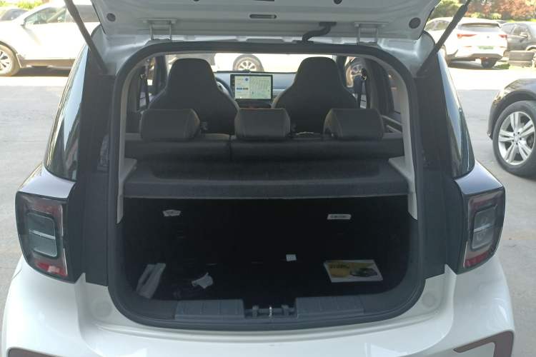 Used SOL E10X 2022 Flower Fairy Style Baby's Breath
