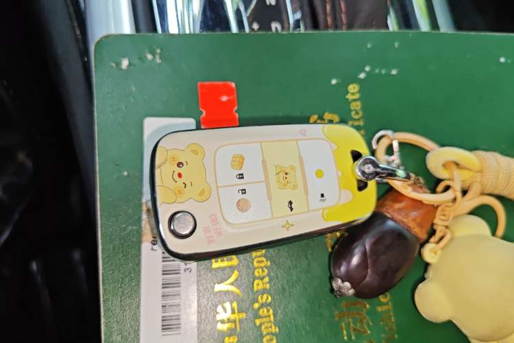 Used Buick Regal 2015 1.6T Elite Tech Model Vehicle Key