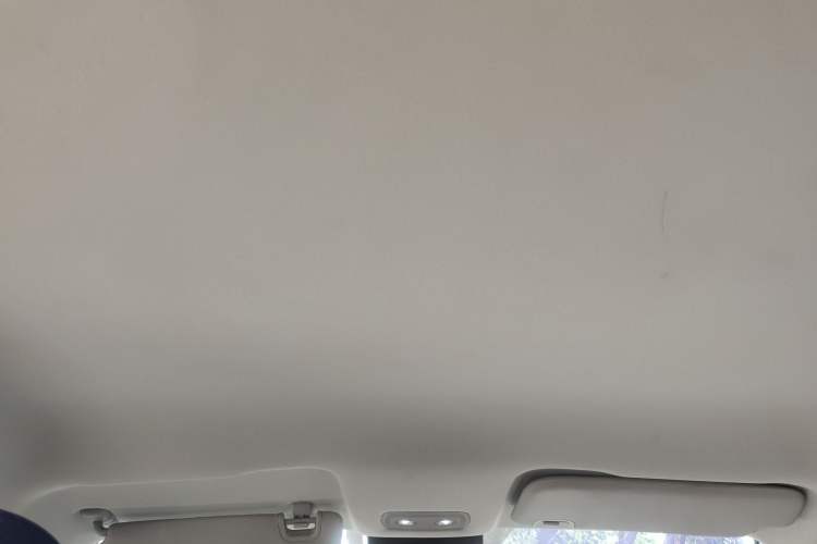 Used NETA V 2021 Standard Range Entertainment Edition
