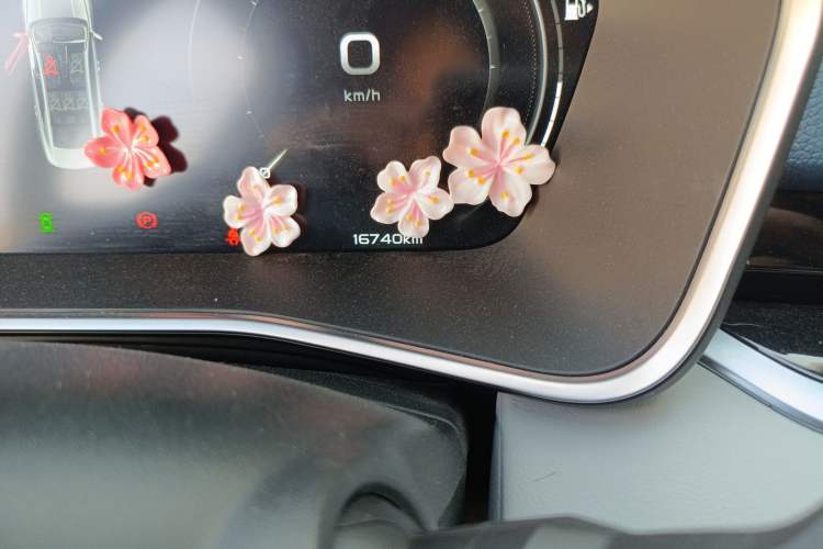 Used Geely Auto Preface 2021 Revised Version 2.0TD Luxury Edition Odometer Close Up