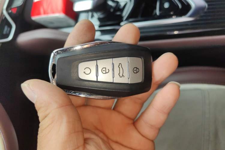 Used Geely Auto Monjaro L 2021 2.0TD DCT EVO Two-Wheel Drive Prestige Version
