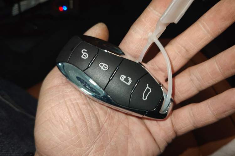 Used Hongqi HQ9 2023 2.0T Smart Connect Flagship Edition