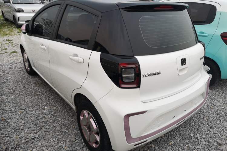 Used SOL E10X 2022 Flower Fairy Design Sunflower Exterior 2