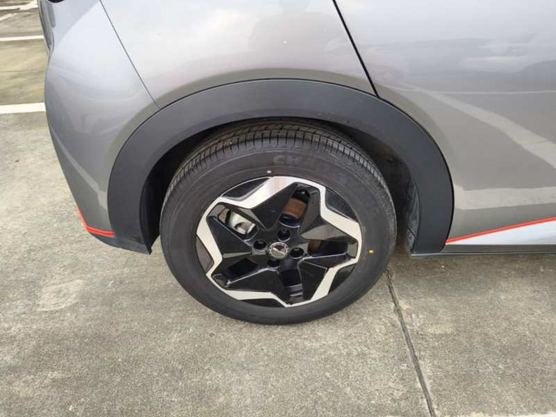 Used BYD Dolphin 2021 405 km Fashion Edition — 25