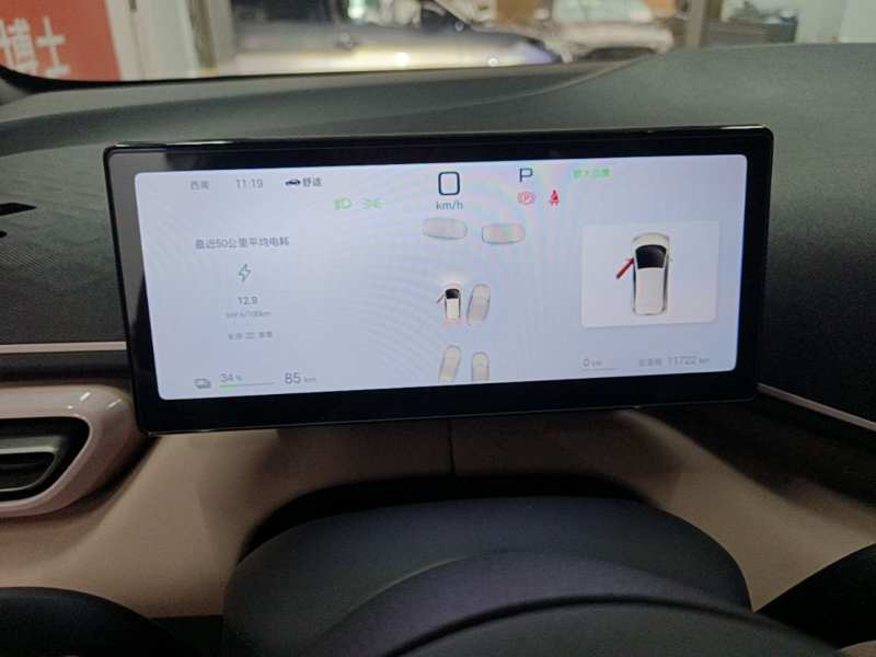 Used BYD Seagull 2023 Free Edition — 11