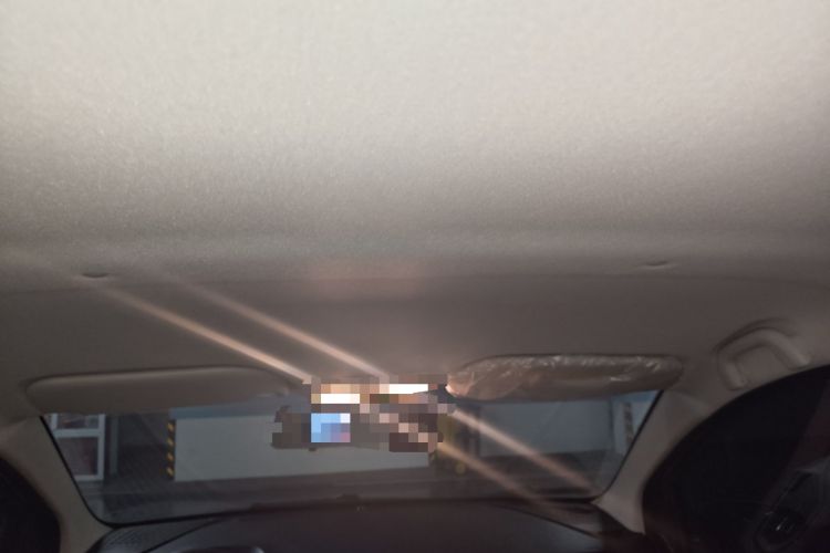 Used SOL E10X 2022 Flower Fairy Design Four-Leaf Clover