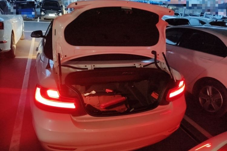 Used BMW 2 Series 2015 218i Convertible Coupe