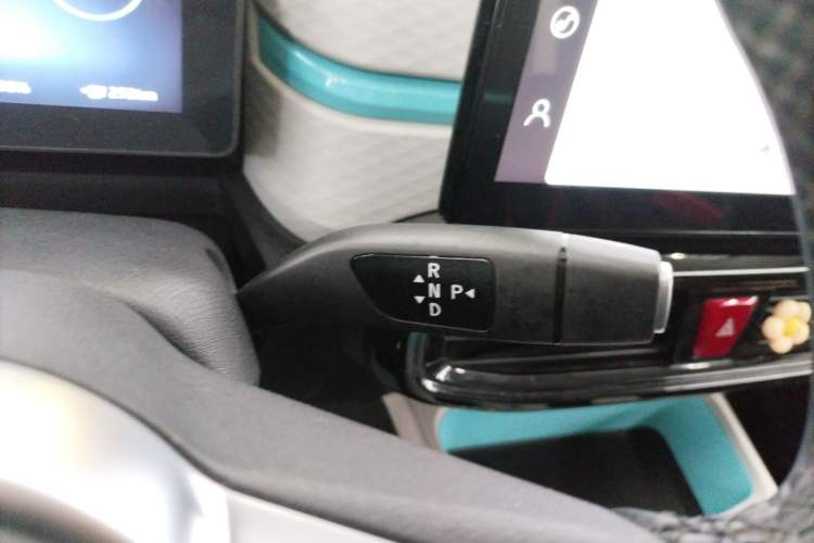 Used SOL E10X 2022 Flower Fairy Style Baby's Breath
