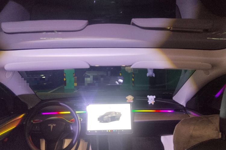 Used Tesla Model Y 2022 Rear-Wheel-Drive Version