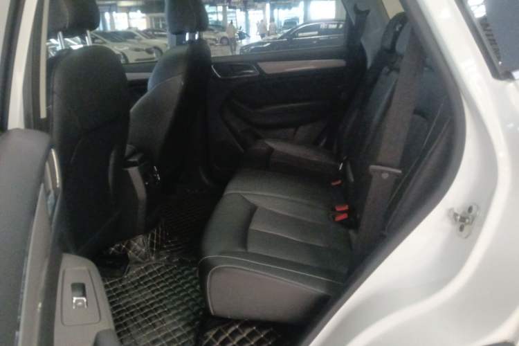 Used Roewe RX5 2020 20T Automatic 4G Connected Million Edition Left Rear Seat