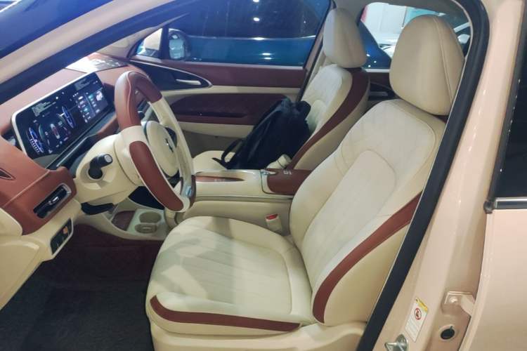 Used ORA Good Cat 2023 401 km Standard Range Luxury Version Lithium Iron Phosphate