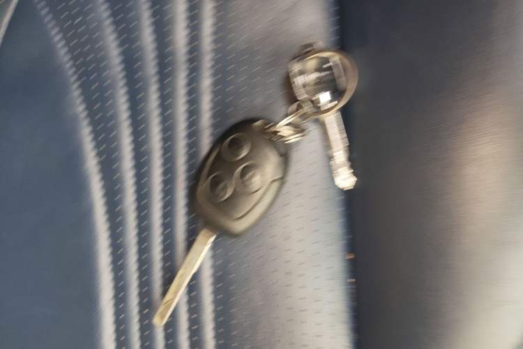 Used Ford Transit 2019 2.0T Diesel Business & Travel Mid-Drive Mid-Roof 7-Seater China VI Standard