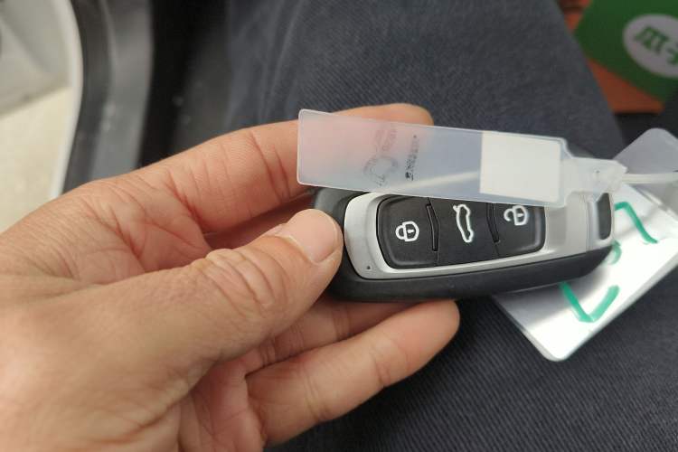 Used Geely Galaxy Panda 2024 Panda Mini 200km Endurance Bear
