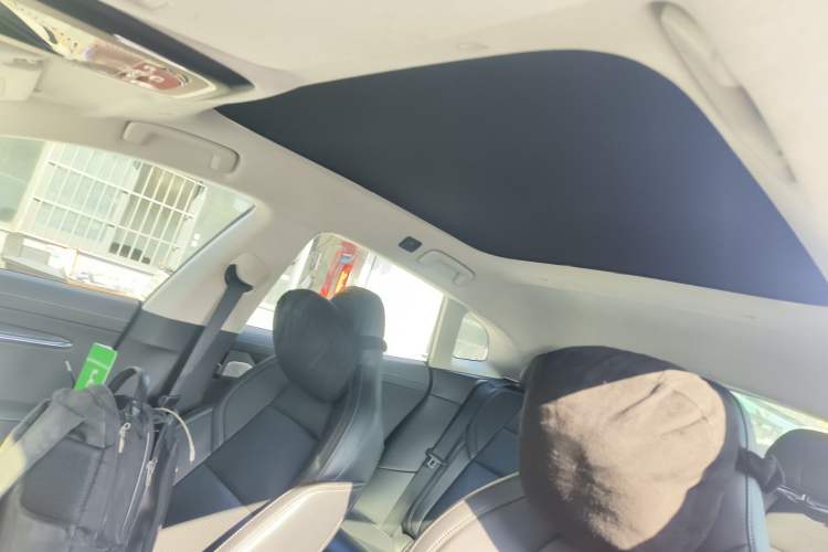 Used Zeekr 001 2022 Long-Range Dual-Motor WE Edition Headliner