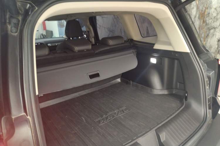 Used Haval DARGO 2021 1.5T DCT Two-Wheel Drive Border Collie Edition
