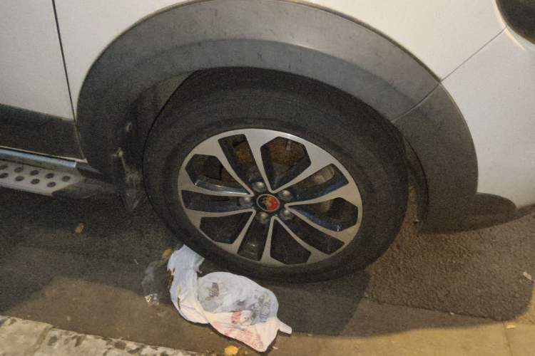 Used FORTHING Joyear X5 2015 1.6L Manual Luxury Model