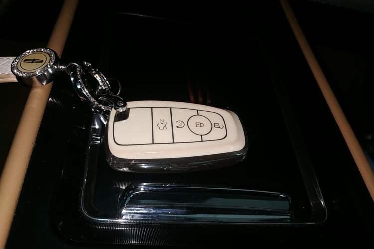 Used Lincoln Corsair 2022 2.0T Two-Wheel Drive Luxury Edition
