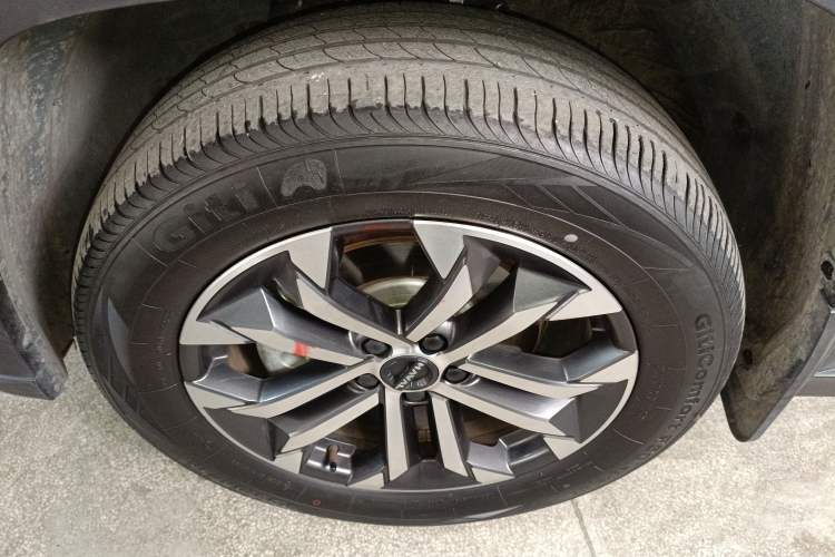 Used Haval H Dog 2023 2.0T All-Wheel-Drive Chaoye Plus