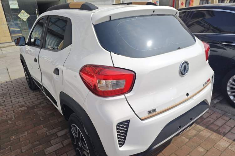 Used Dongfeng NAMMI EX1 2023 PRO Light Wind Edition Lightning Model
