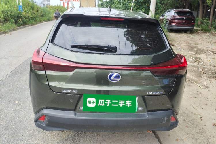 Used Lexus UX New Energy 2020 300e Pure·Joy Edition Exterior 4