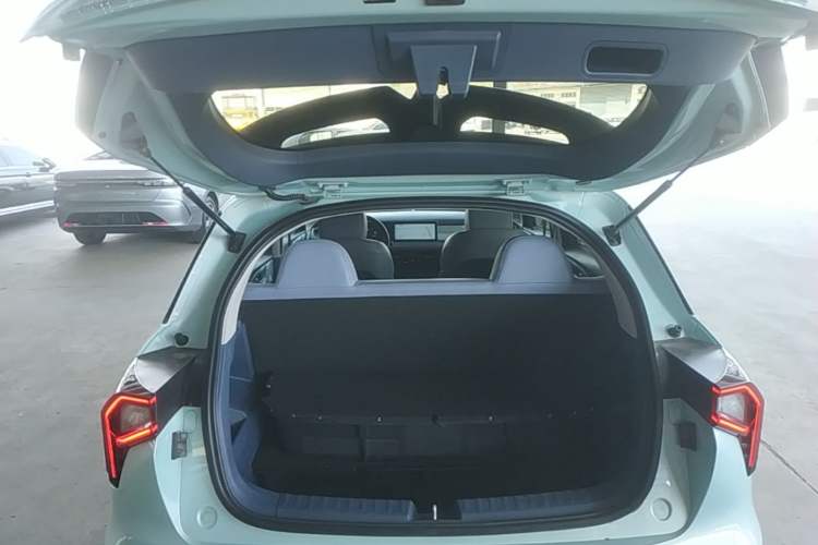 Used Geometry E Firefly 2022 401 km Linglong Tiger 4 Seats

