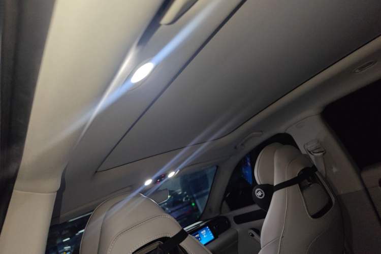 Used Leapmotor C11 2023 Pure Electric 500 Smart Edition