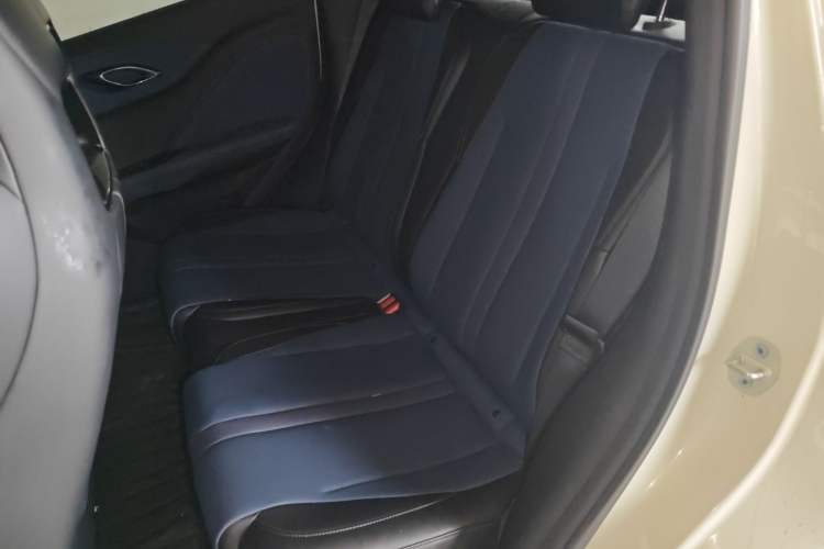 Used BYD Seagull 2025 305 km Free Version Left Rear Seat