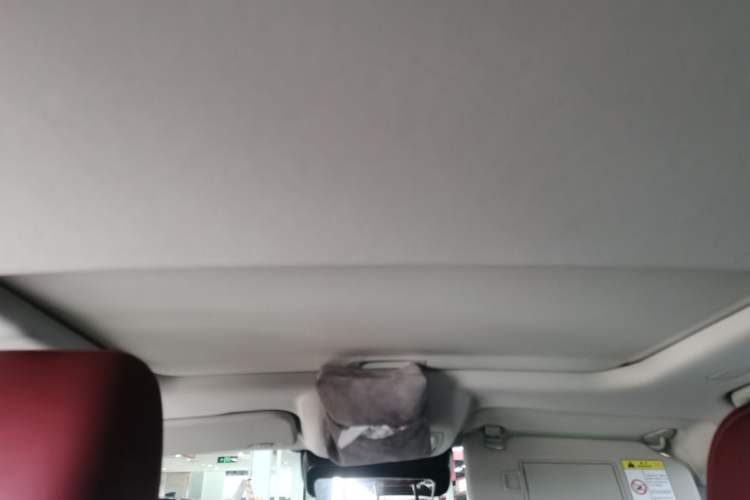 Used Tank 300 2025 2.0T Conqueror
