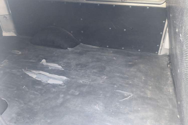 Used FORTHING Lingzhi 2018 V3L 1.6L 2-Seat Logistics Version