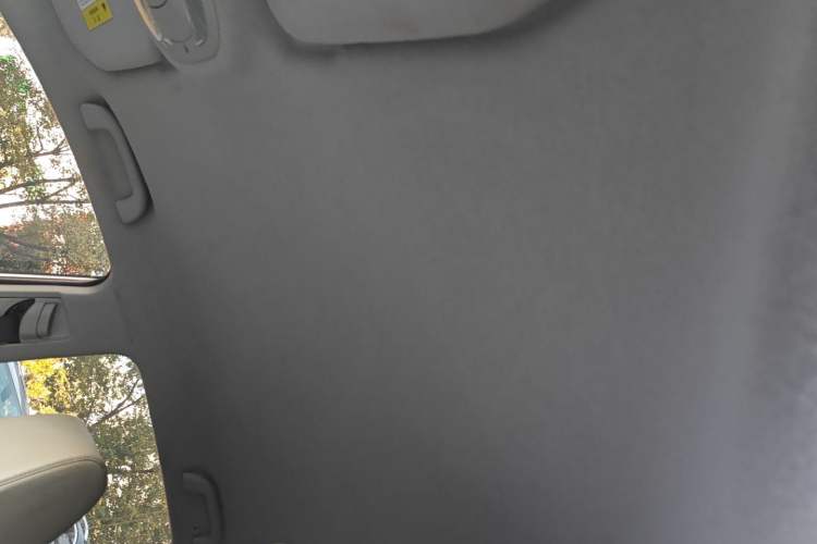 Used BYD Yuan Pro 2021 401 km Luxury Version Headliner