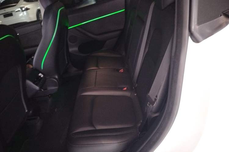 Used Tesla Model Y 2021 Standard Range Rear-Wheel Drive Version
