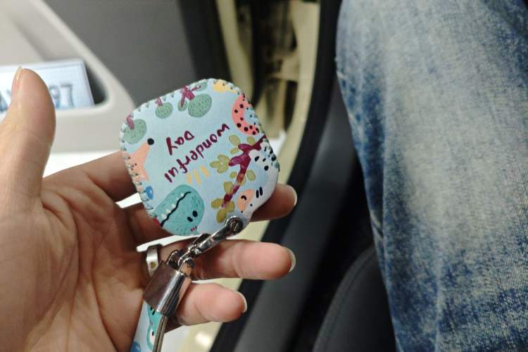 Used Qiyuan Lumin 2023 301km Honey Dew Edition