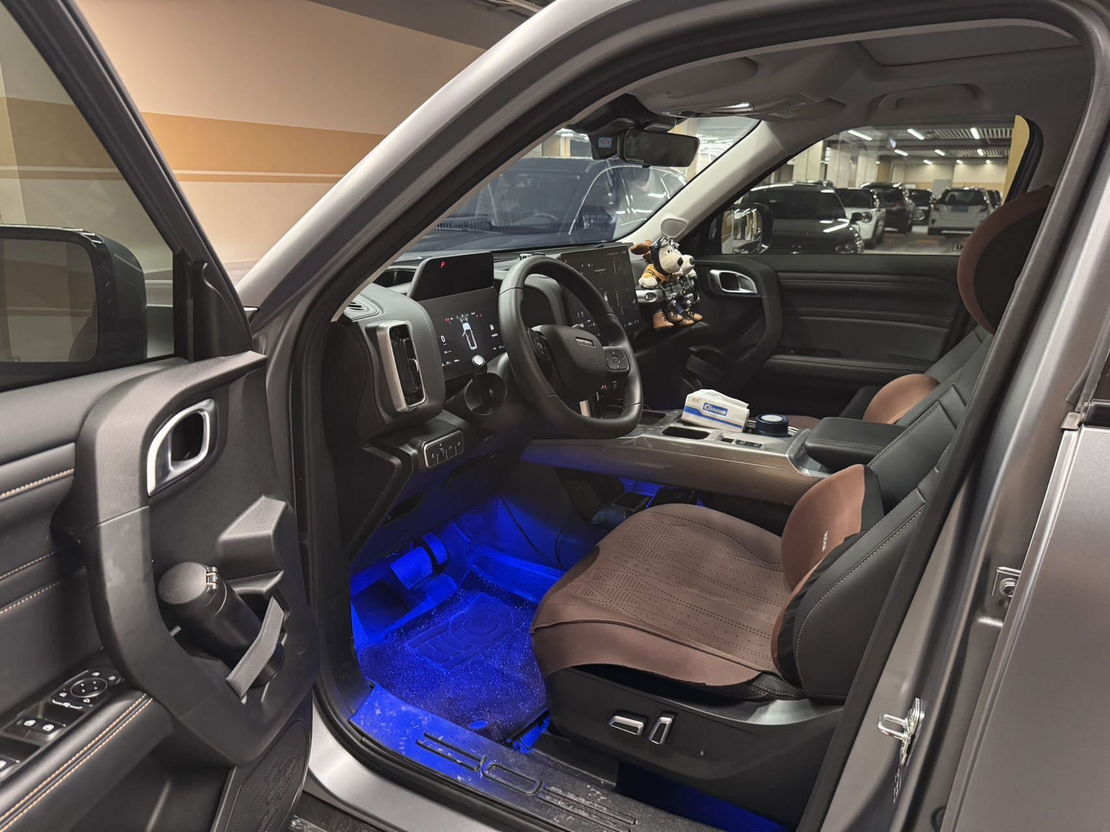 Interior delantero