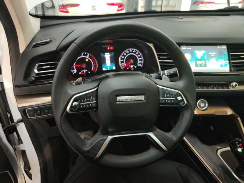 Used Haval H6 2020 2.0 GDIT Automatic Platinum Champion Edition — 10