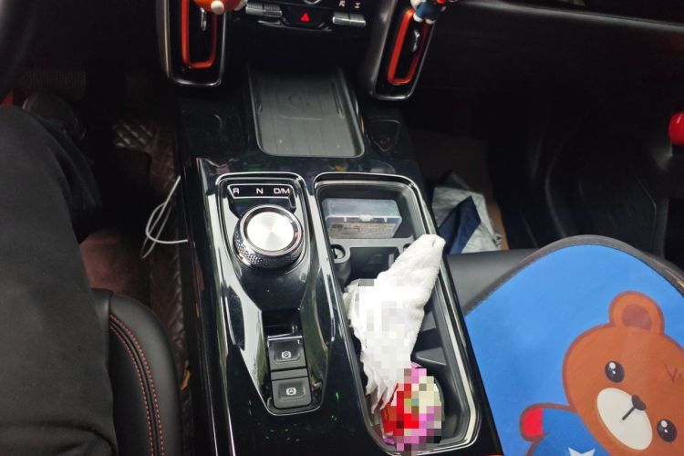 Used Haval DARGO 2021 2.0T DCT 4x4 Chinese Rural Dog Edition
