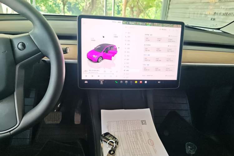 Used Tesla Model Y 2022 Rear-Wheel-Drive Version