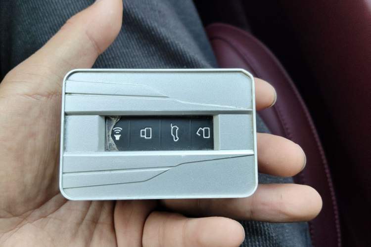 Used Tank 700 New Energy 2024 Hi4-T First-Edition Limited Model
